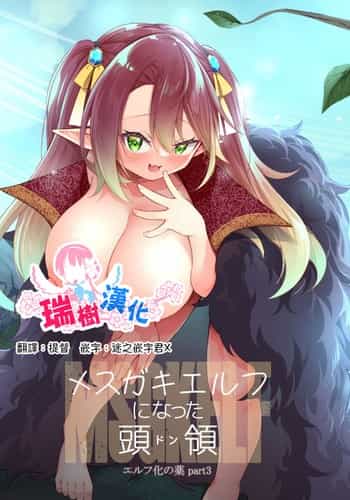 [Slime no Kanmuri (Kanmuri)] Mesugaki Elf ni Natta Don Elf-ka no Kusuri part 3 變成雌小鬼妖精的頭領 妖精化之藥 part3 [Chinese] [瑞树汉化组] [Digital]
